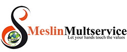 Meslin Multi Service