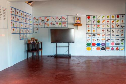 Shanu Foundation